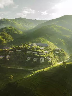 garrya-mu-cang-chai